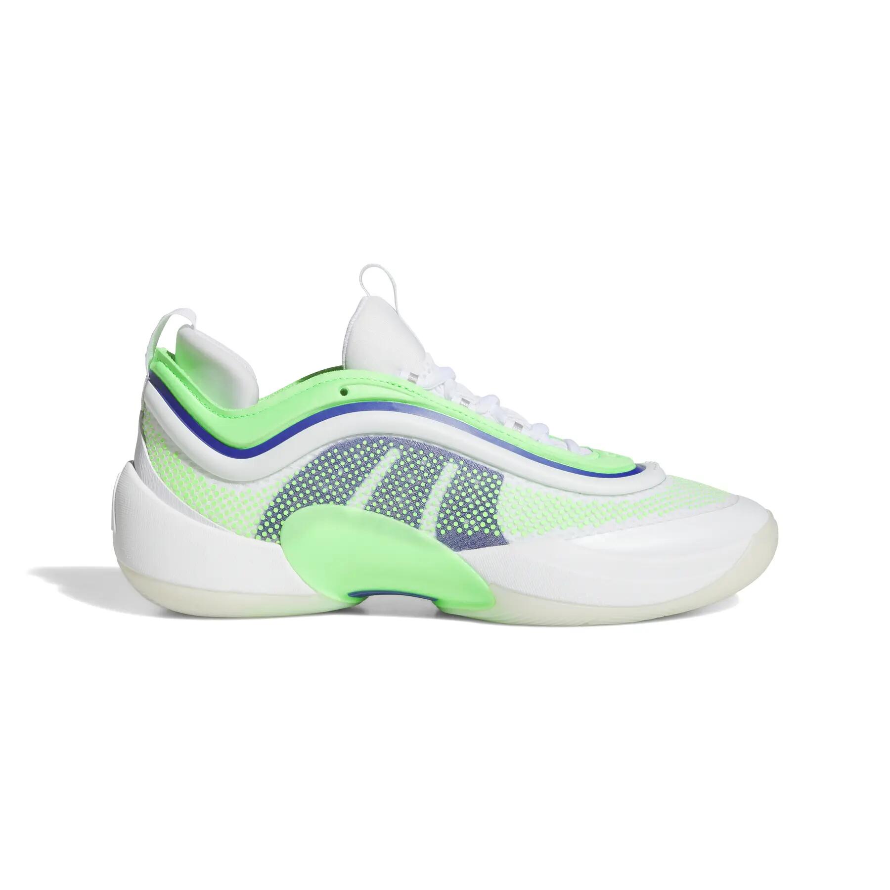 ADIDAS picture