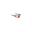 Okulary rowerowe Leatt SpeedViz Lite Iriz Cryztal - stain black