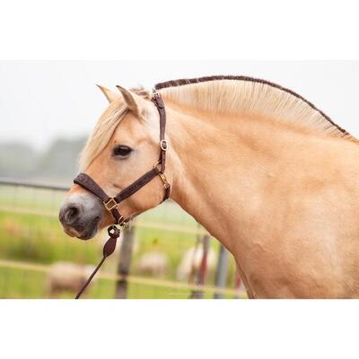 Cavezza in cuoio Edix Saddles Kaily