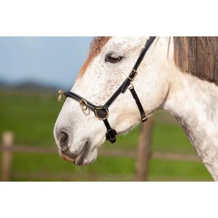 Caveçon pour cheval Edix Saddles ED5