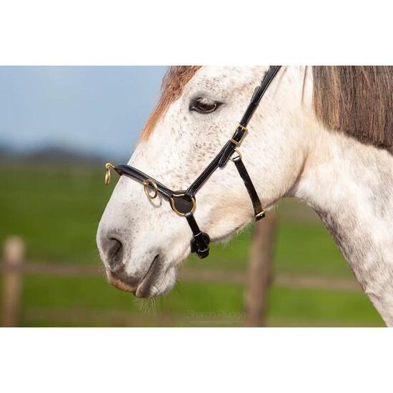 Caveçon pour cheval Edix Saddles ED5