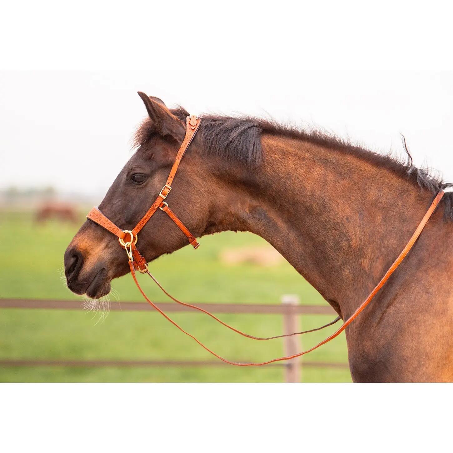 EDIX SADDLES picture