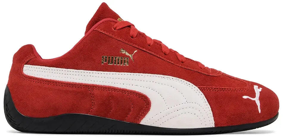 PUMA picture