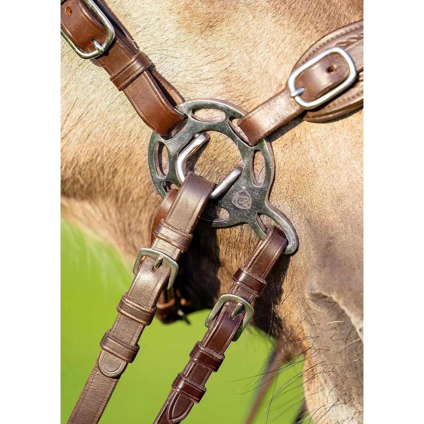 EDIX SADDLES picture