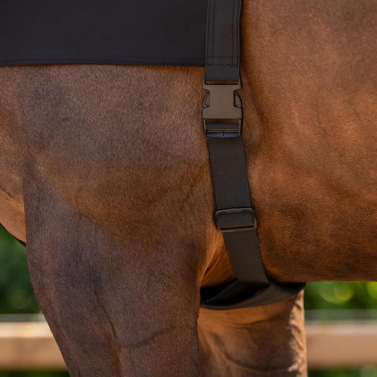 Couvre-cou pour cheval QHP 2/5