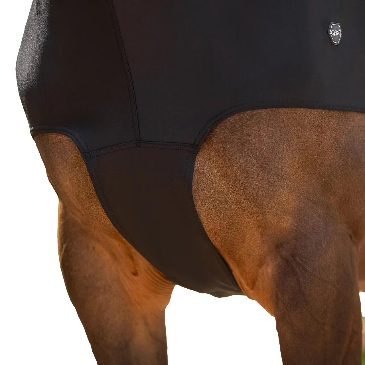 Couvre-cou pour cheval QHP 1/5