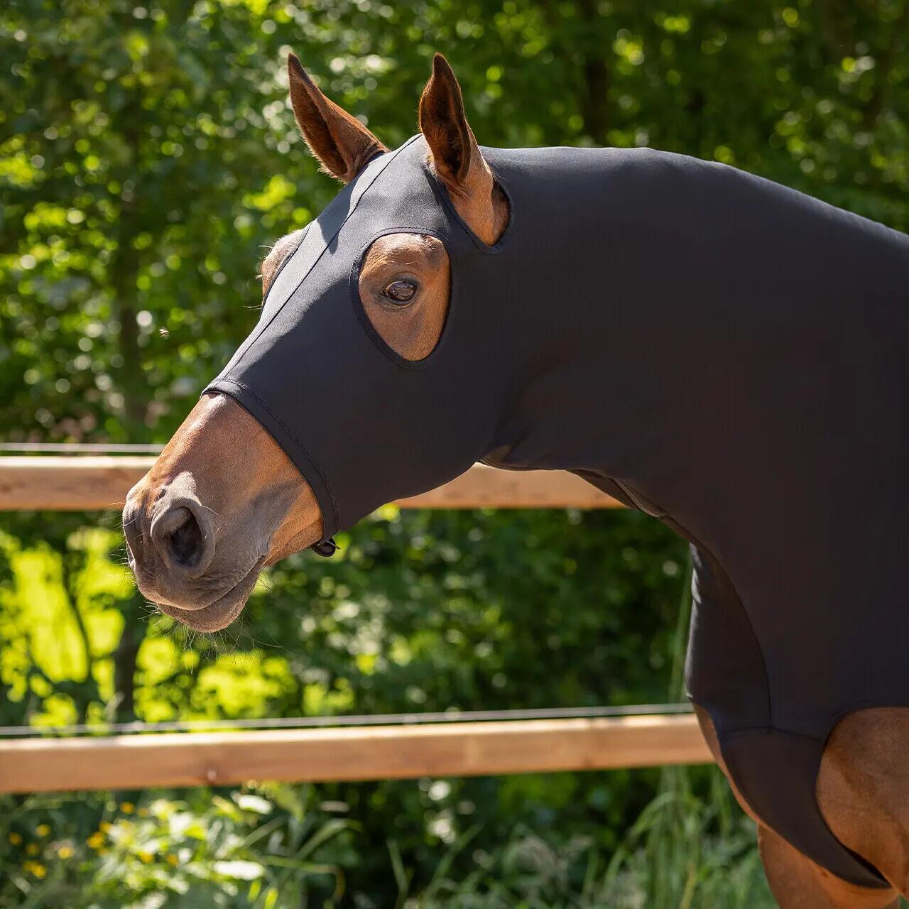 Couvre-cou pour cheval QHP 4/5