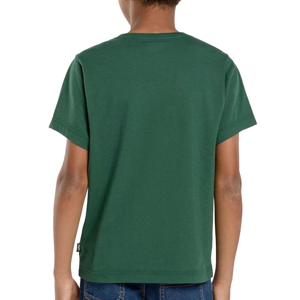 T-Shirt Vert Garçon Dickies Mapleton 2/2