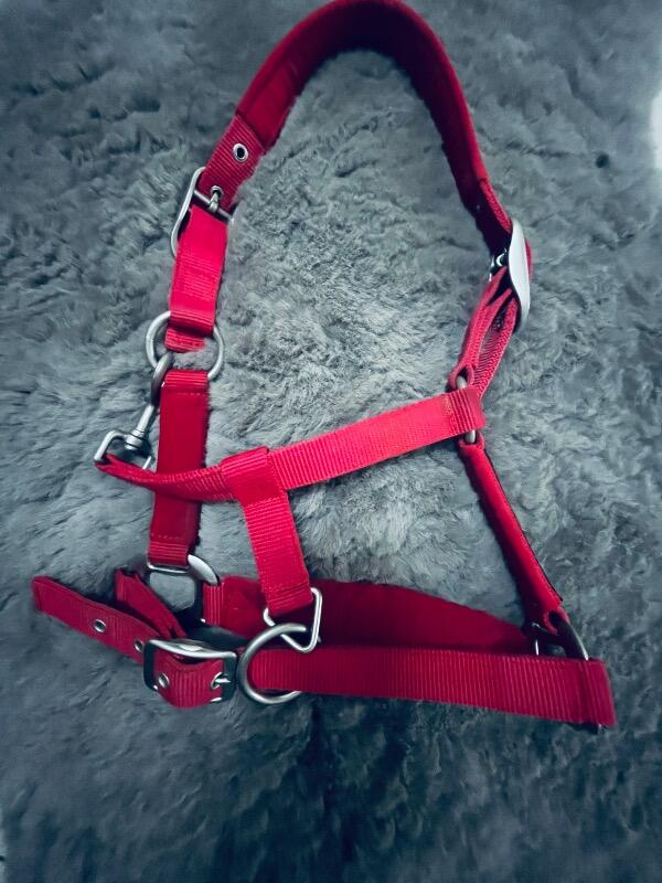 Tussen Particulieren - Scapa sport halster rode pony 3/7
