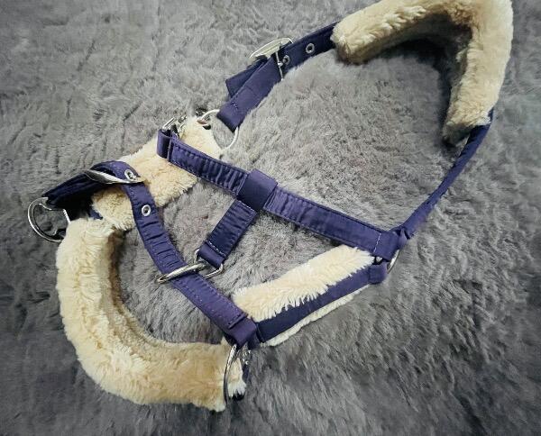 Tussen Particulieren - Eskadron paars pony halster 3/6