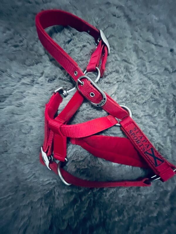 Tussen Particulieren - Scapa sport halster rode pony 2/7