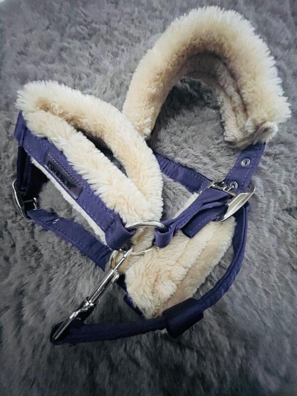 Tussen Particulieren - Eskadron paars pony halster 2/6