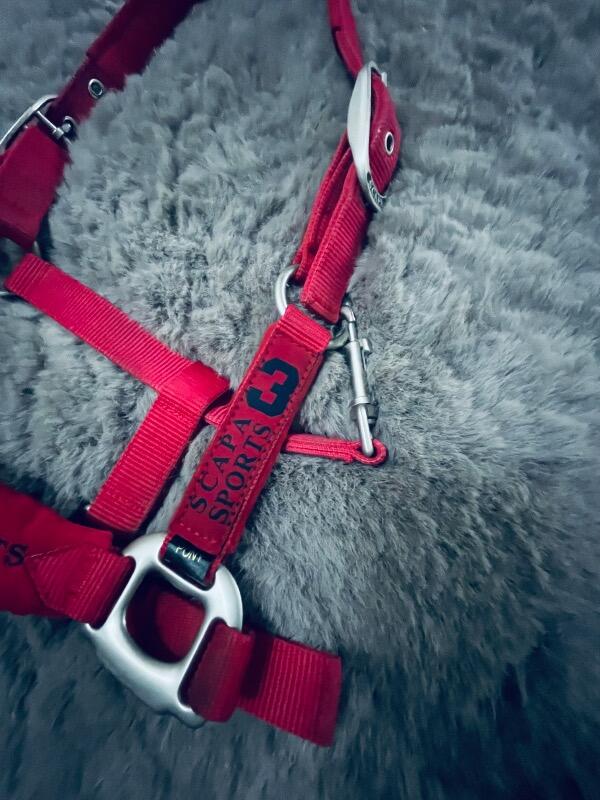 Tussen Particulieren - Scapa sport halster rode pony 6/7