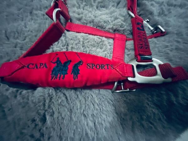 Tussen Particulieren - Scapa sport halster rode pony 7/7