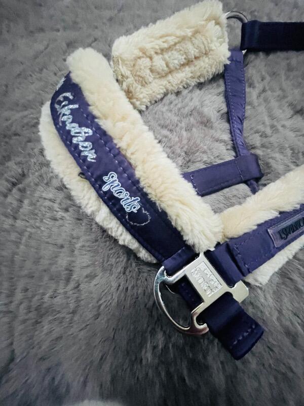 Tussen Particulieren - Eskadron paars pony halster 6/6