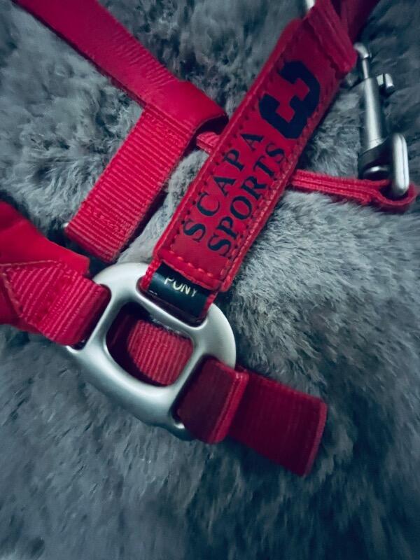 Tussen Particulieren - Scapa sport halster rode pony 5/7