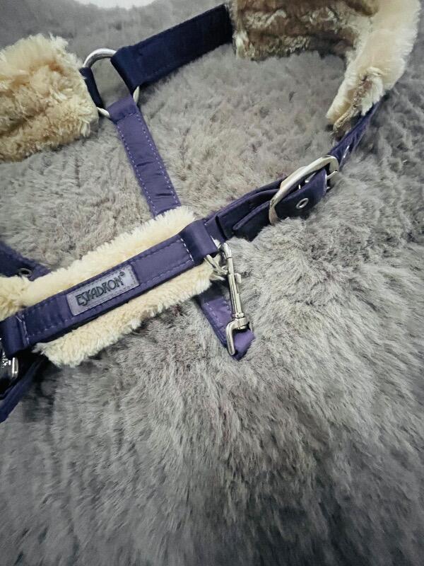 Tussen Particulieren - Eskadron paars pony halster 4/6