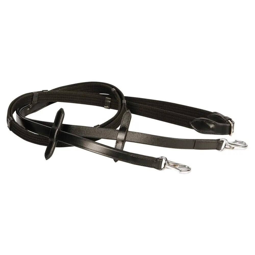 HARRYS HORSE picture