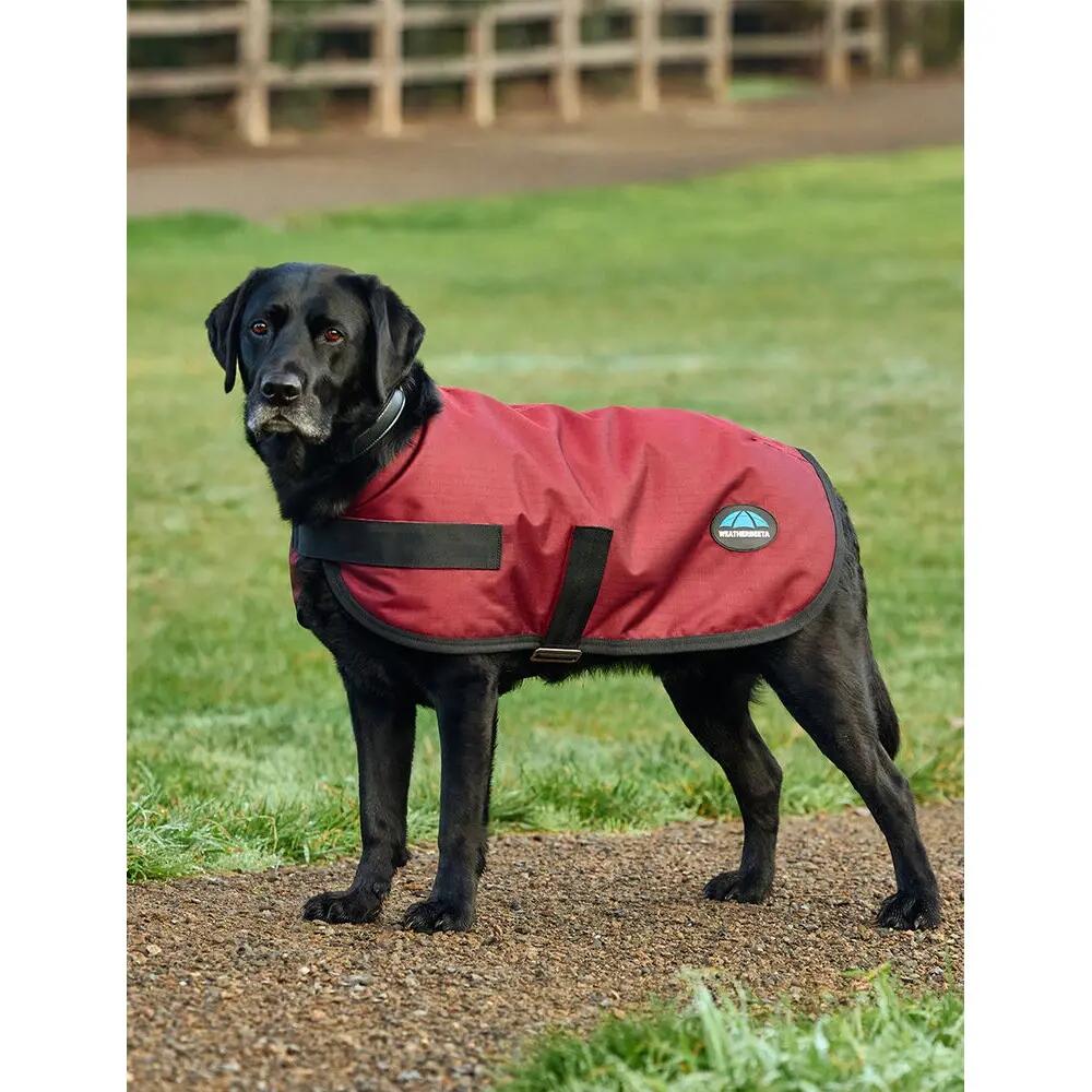 Capa impermeável para cão Weatherbeeta Comfitec Classic 5/5
