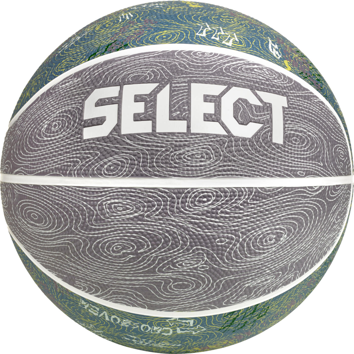SELECT picture