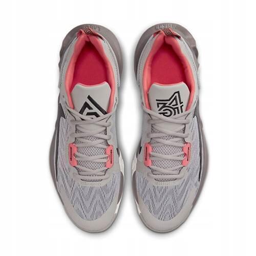 Schoenen voor basketbal voor heren Nike DM0825003 3/5
