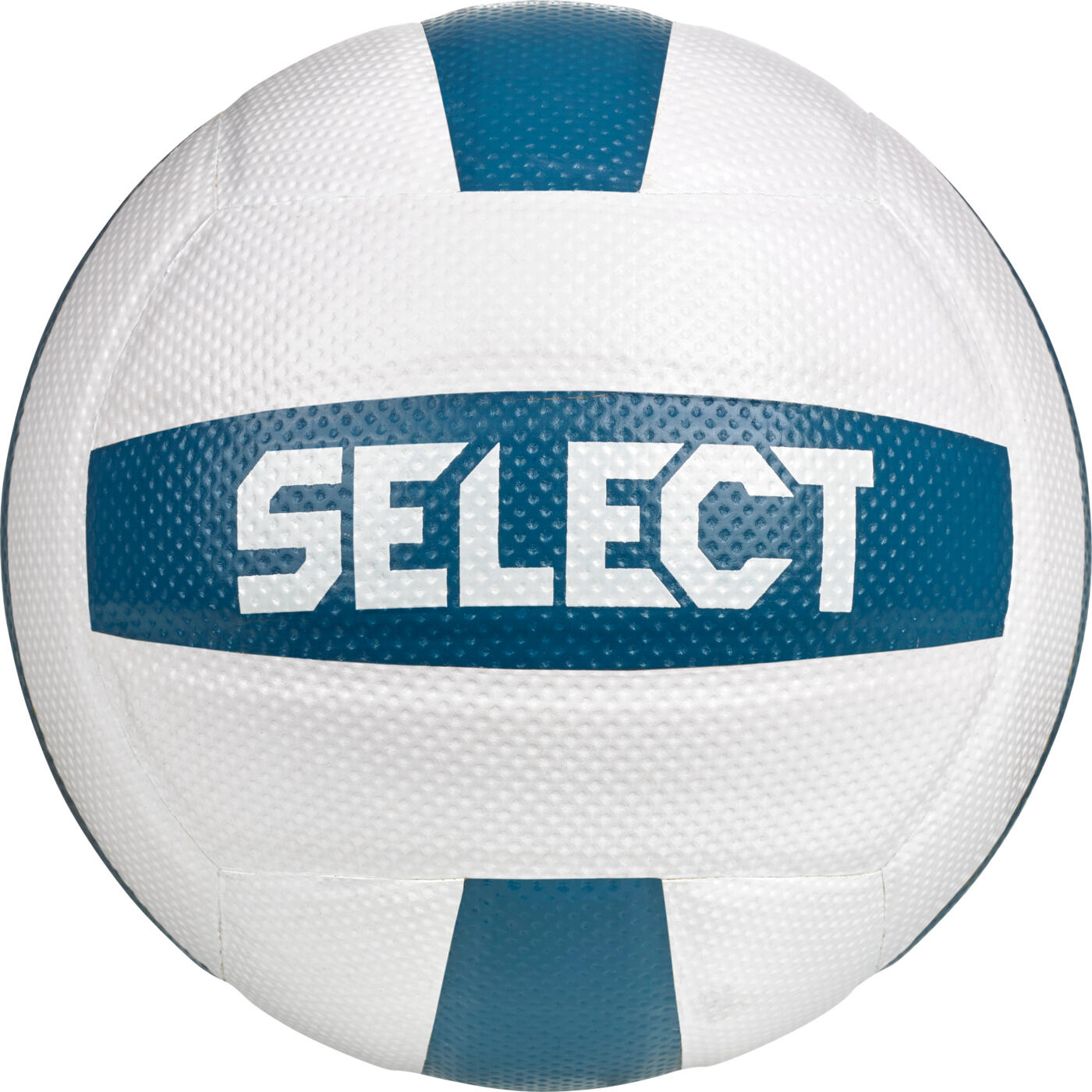 SELECT picture