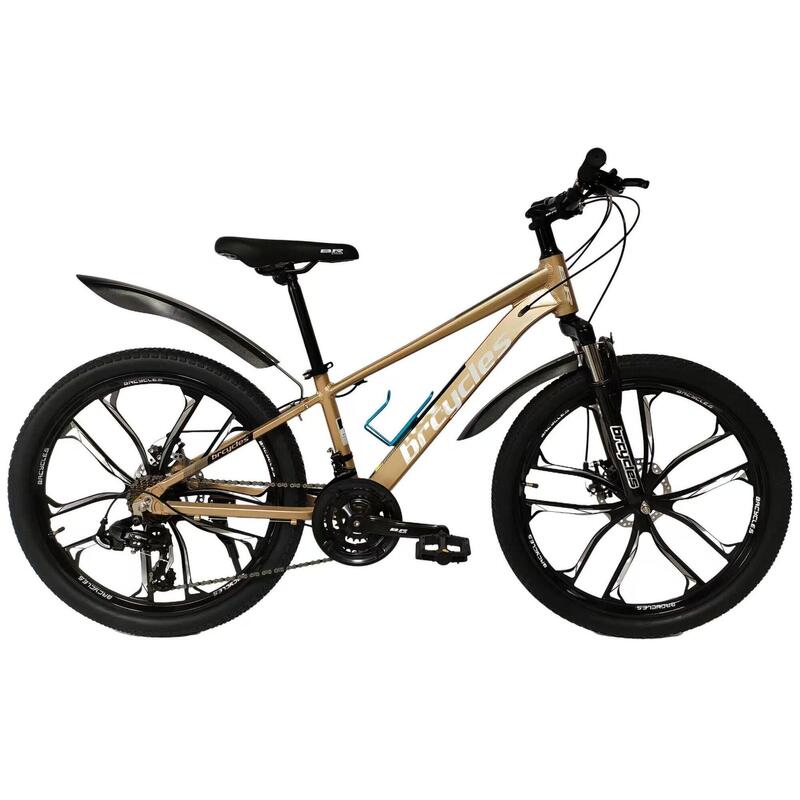 2a0b201b-d770-4685-8c56-ff18e976fe9a_c250