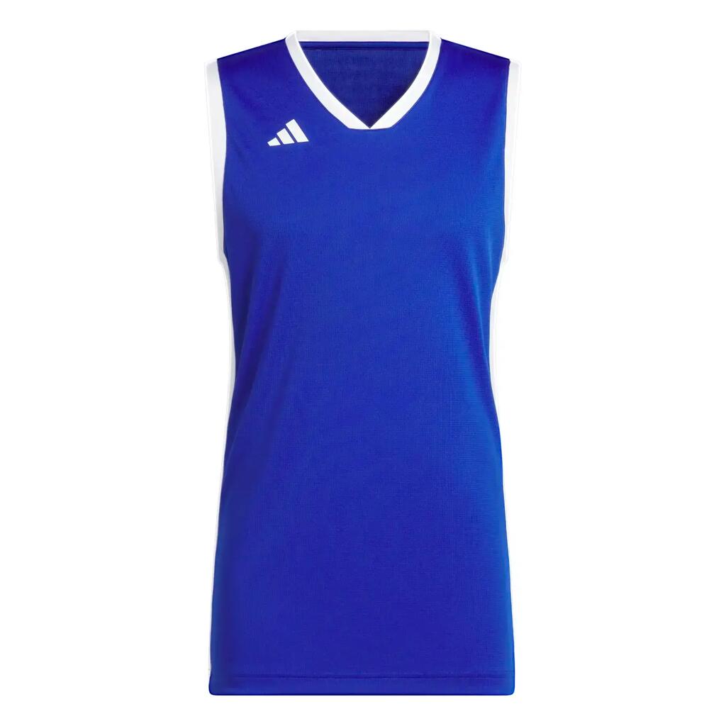 BLUE / WHITE