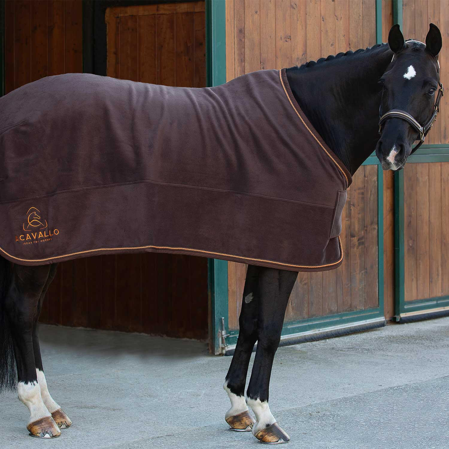 Box fleece decke 800gr 5/6