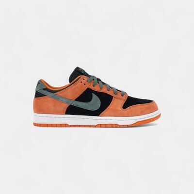 Nike dunk low ceramic