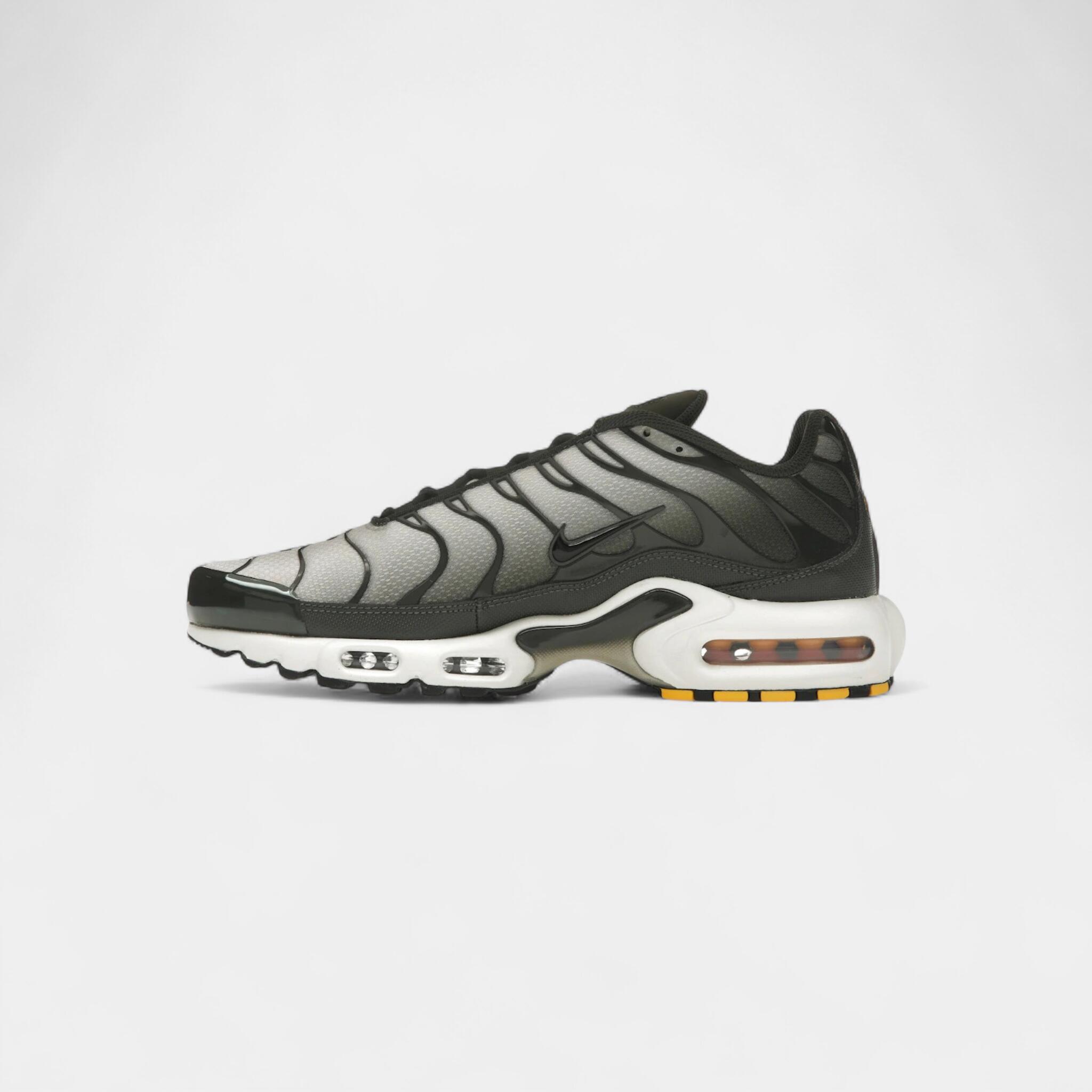 Nike Air Max Plus Sequoia Cargo Khaki 4/4