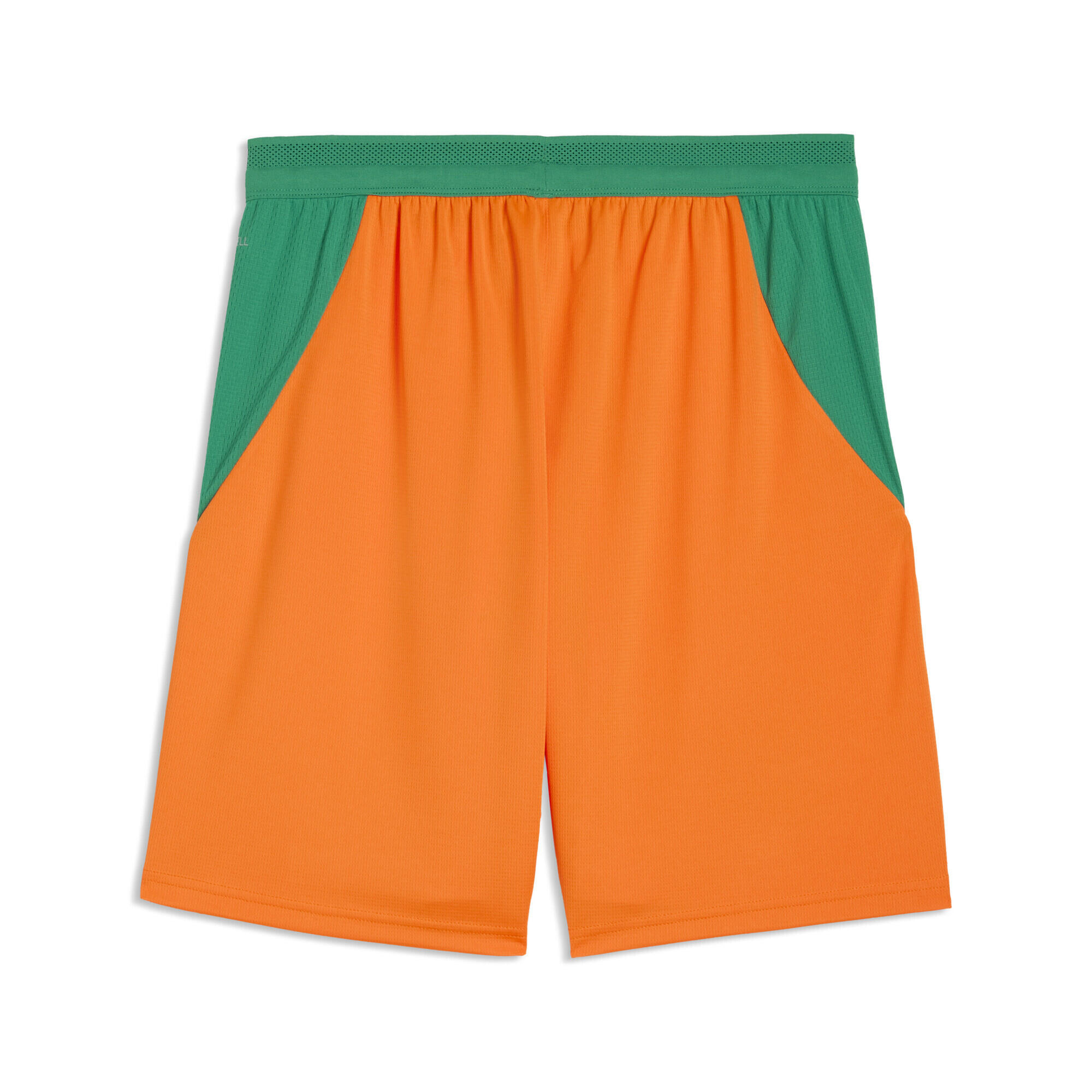 Ivoorkust 2026 short voor heren PUMA 5/5