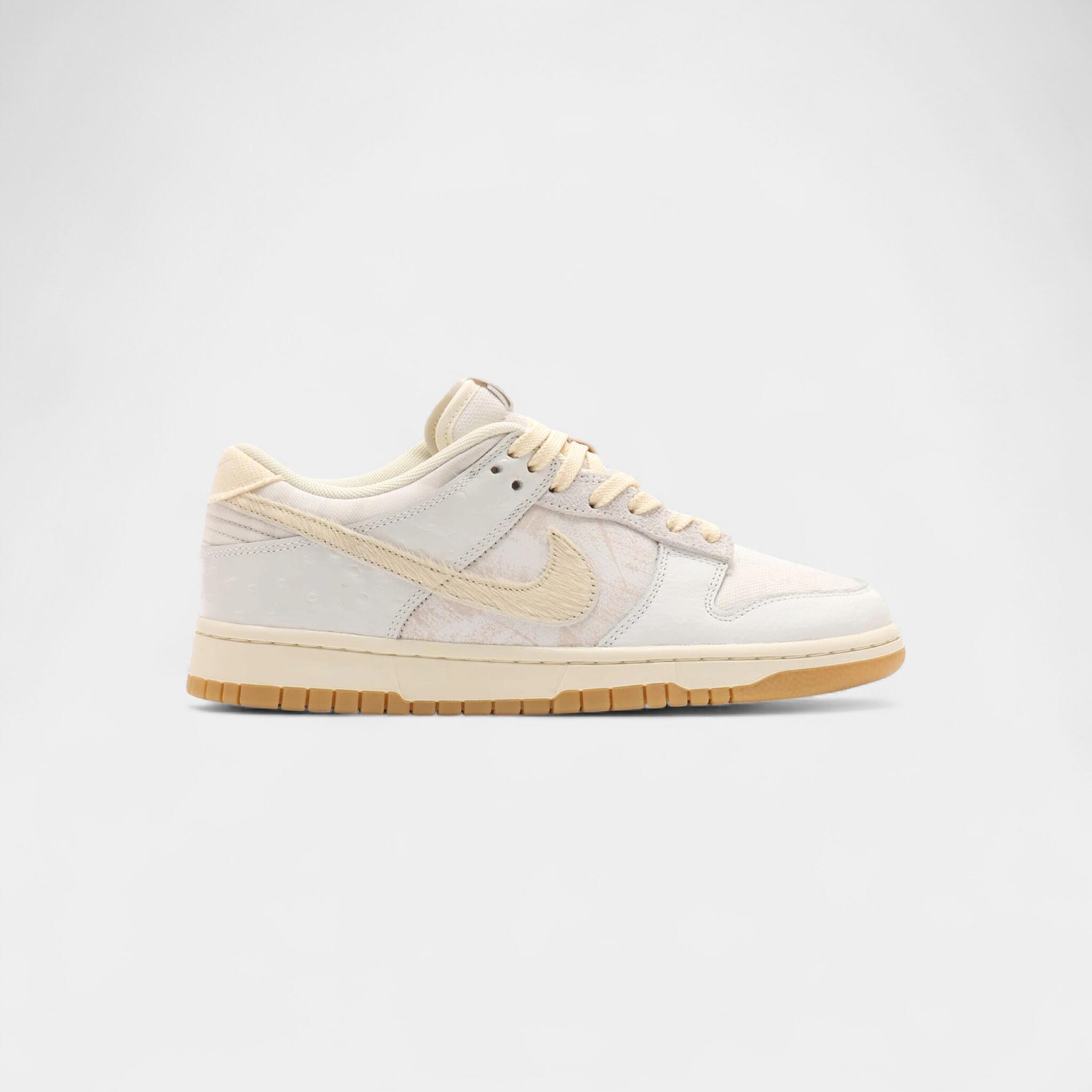 Nike Dunk Low Retro QS Tokyo City Edition 1/3