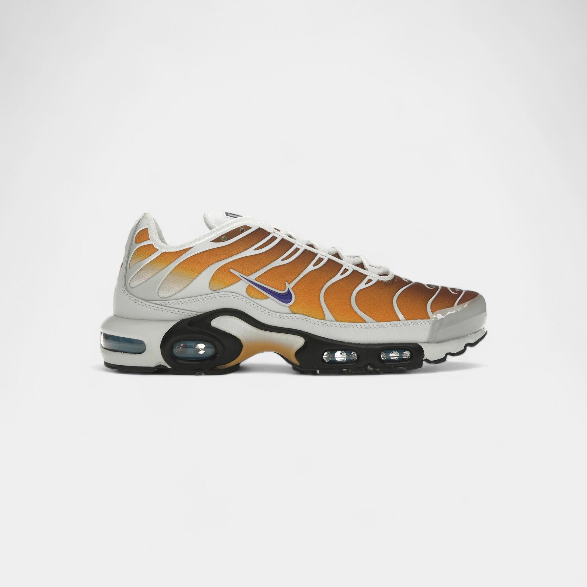 Nike Air Max Plus One Block Down Chutney 1/4