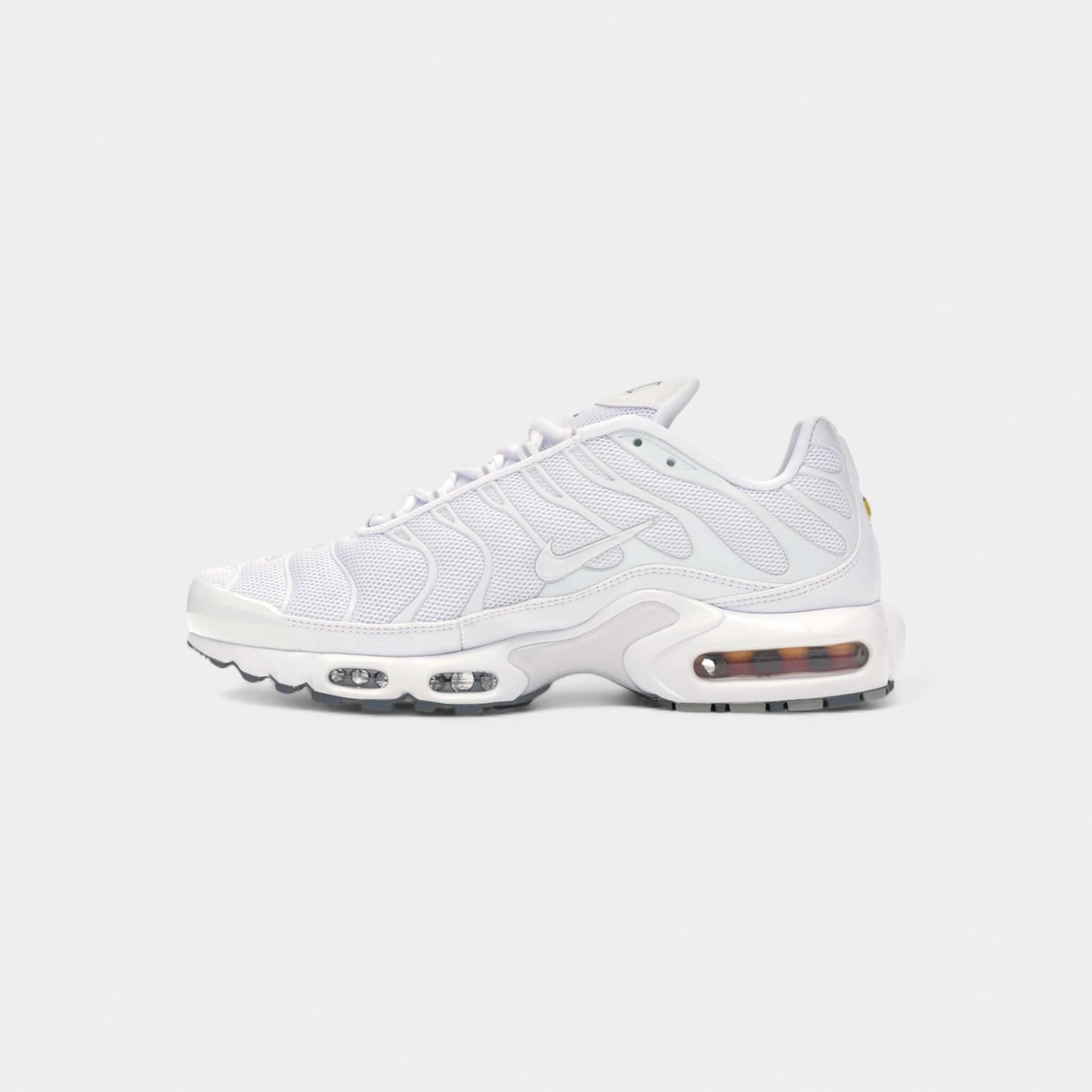 Nike Air Max Plus White 4/4
