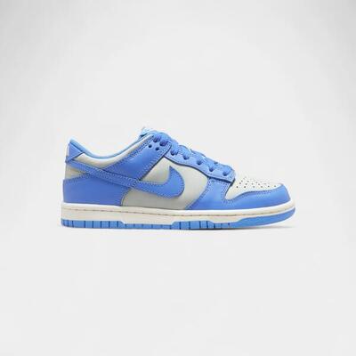 Nike dunk low light silver sail light photo blue (gs)