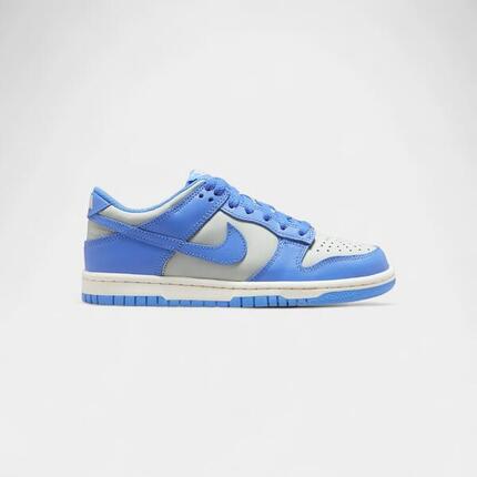 Nike Dunk Low Light Silver Sail Light Photo Blue (GS)