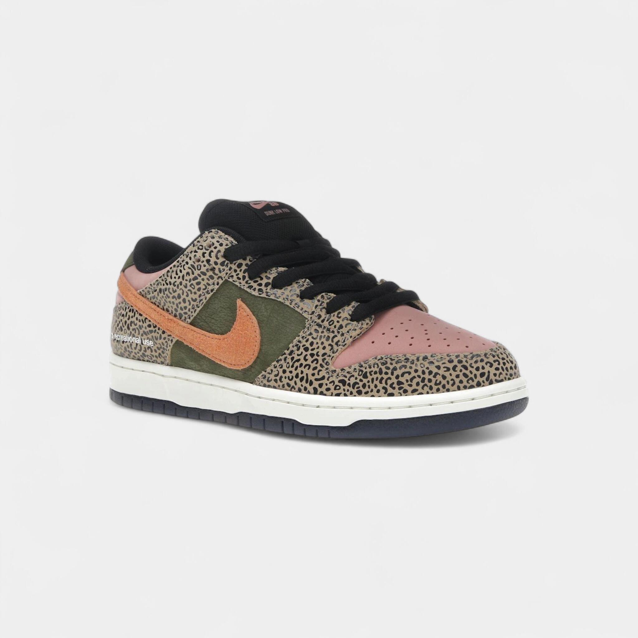 Nike SB Dunk Low Arts-Rec 2/5