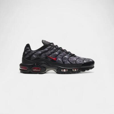 Nike air max plus topography pack