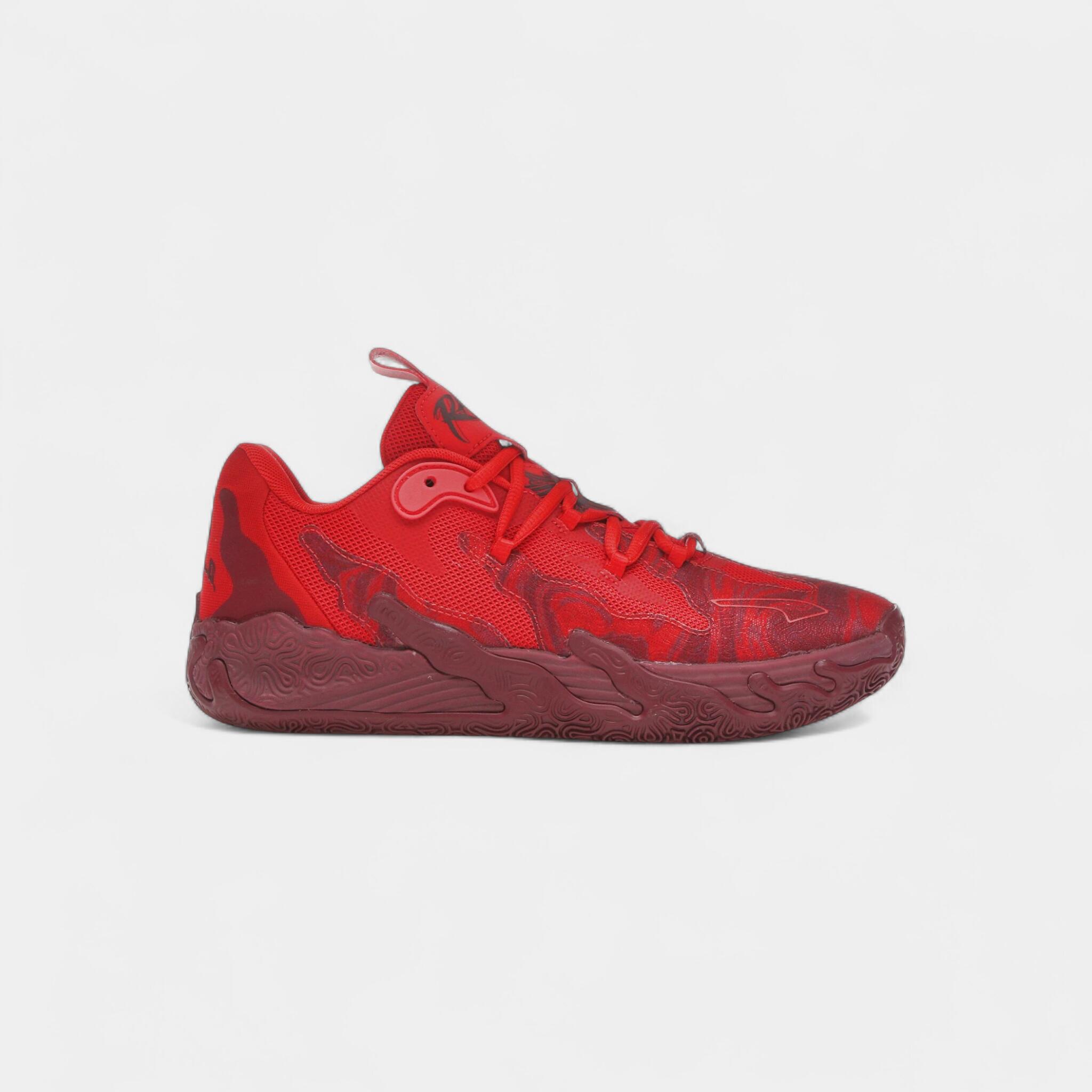 PUMA picture