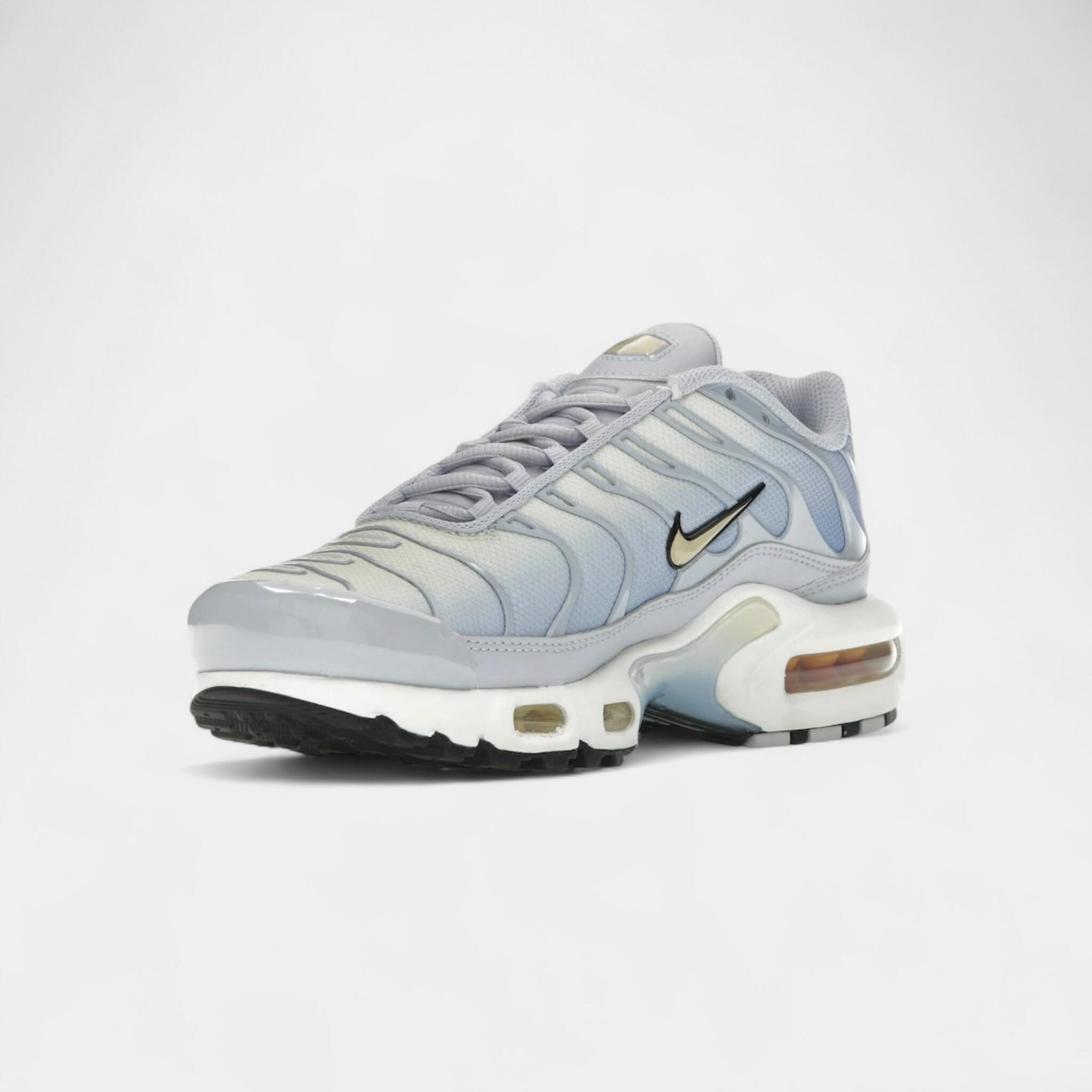 Nike Air Max Plus Daybreak (Women's) 3/4