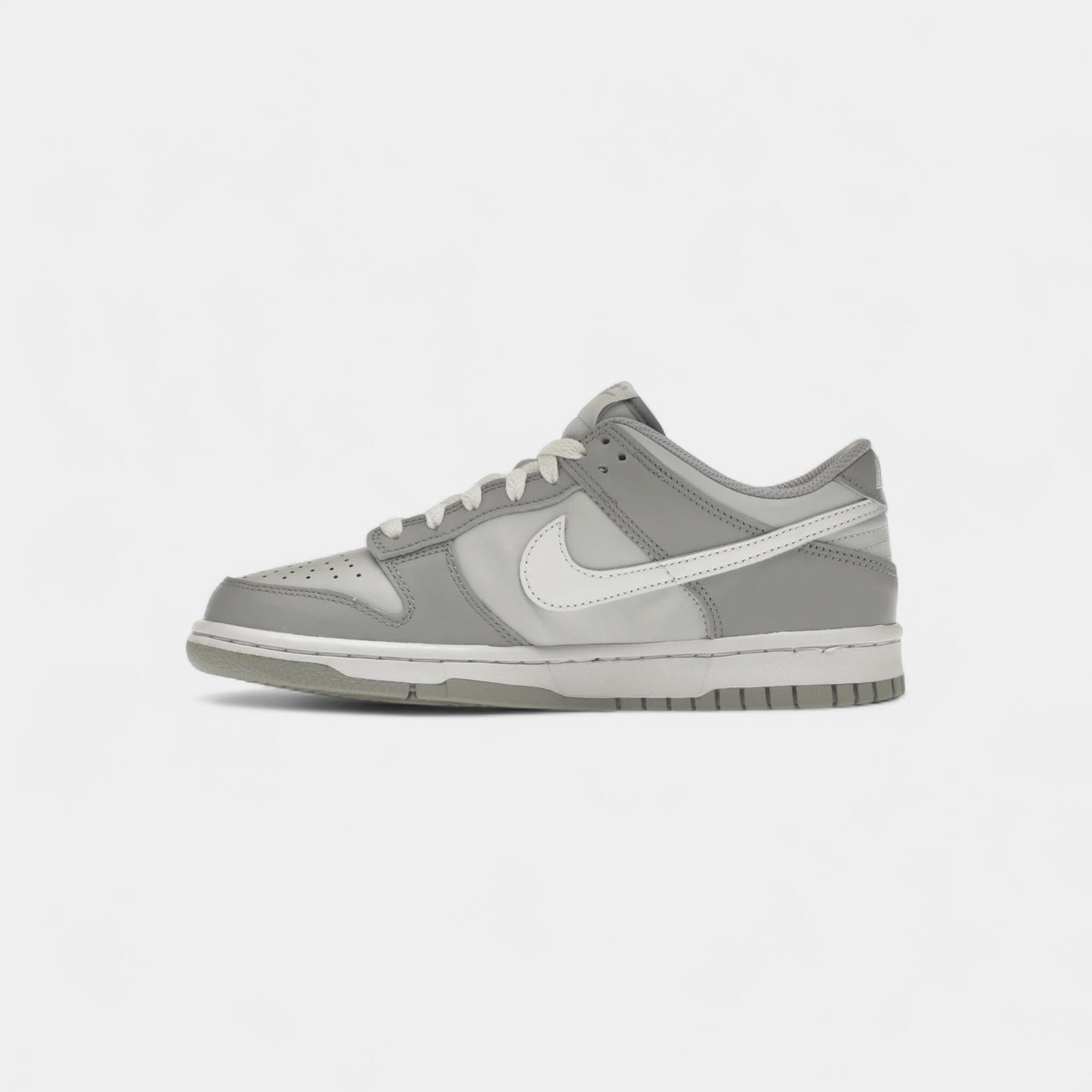 Nike Dunk Low Two-Toned Grey (GS) 4/5