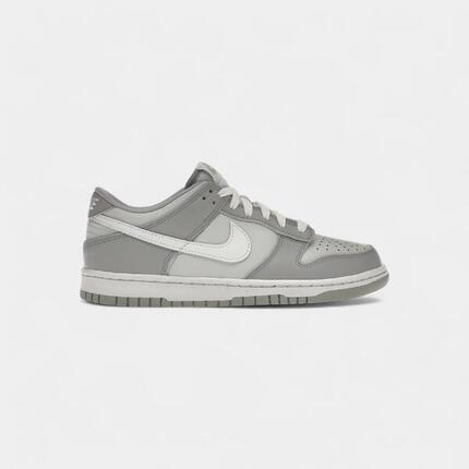 Nike Dunk Low Two-Toned Grey (GS)