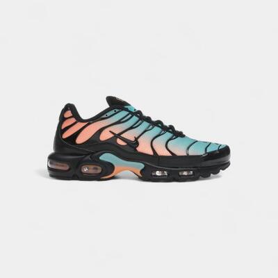 Nike air max plus south beach