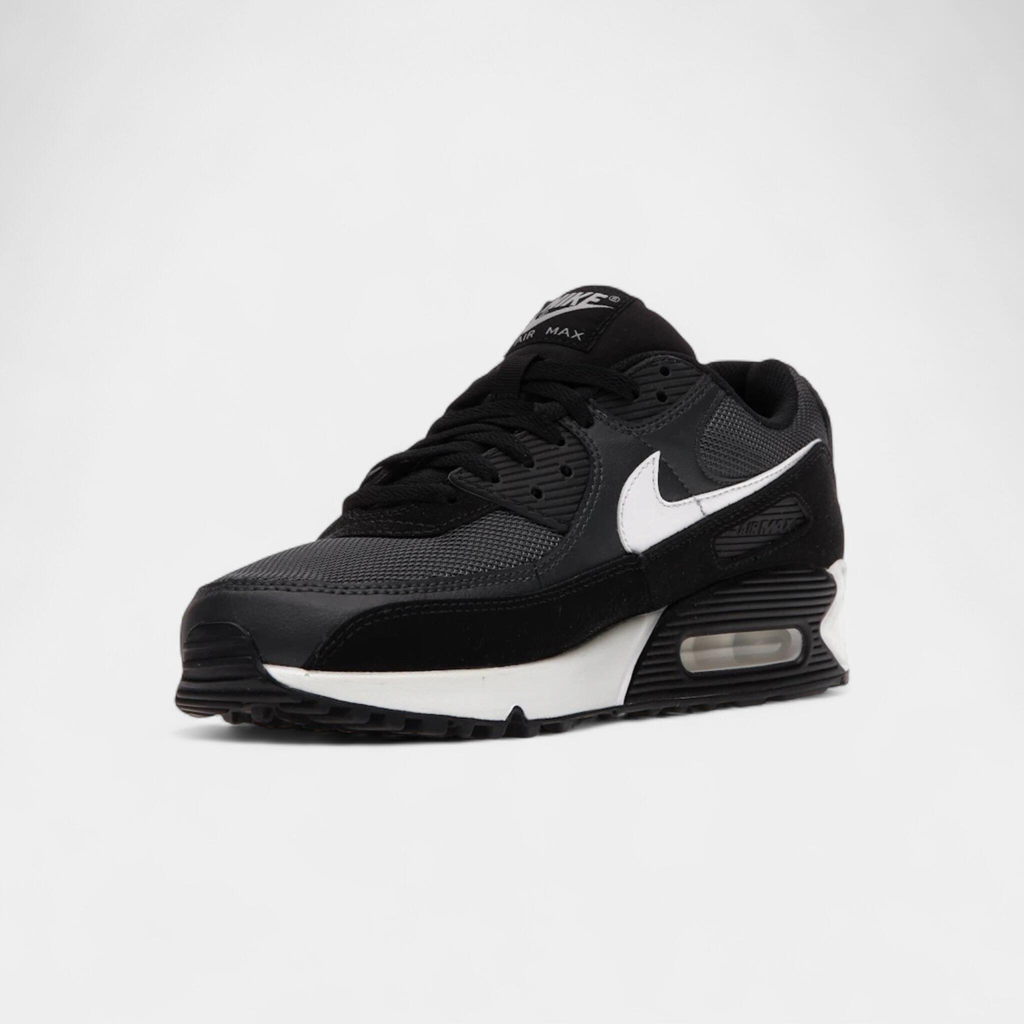 Nike Air Max 90 Iron Grey 3/5