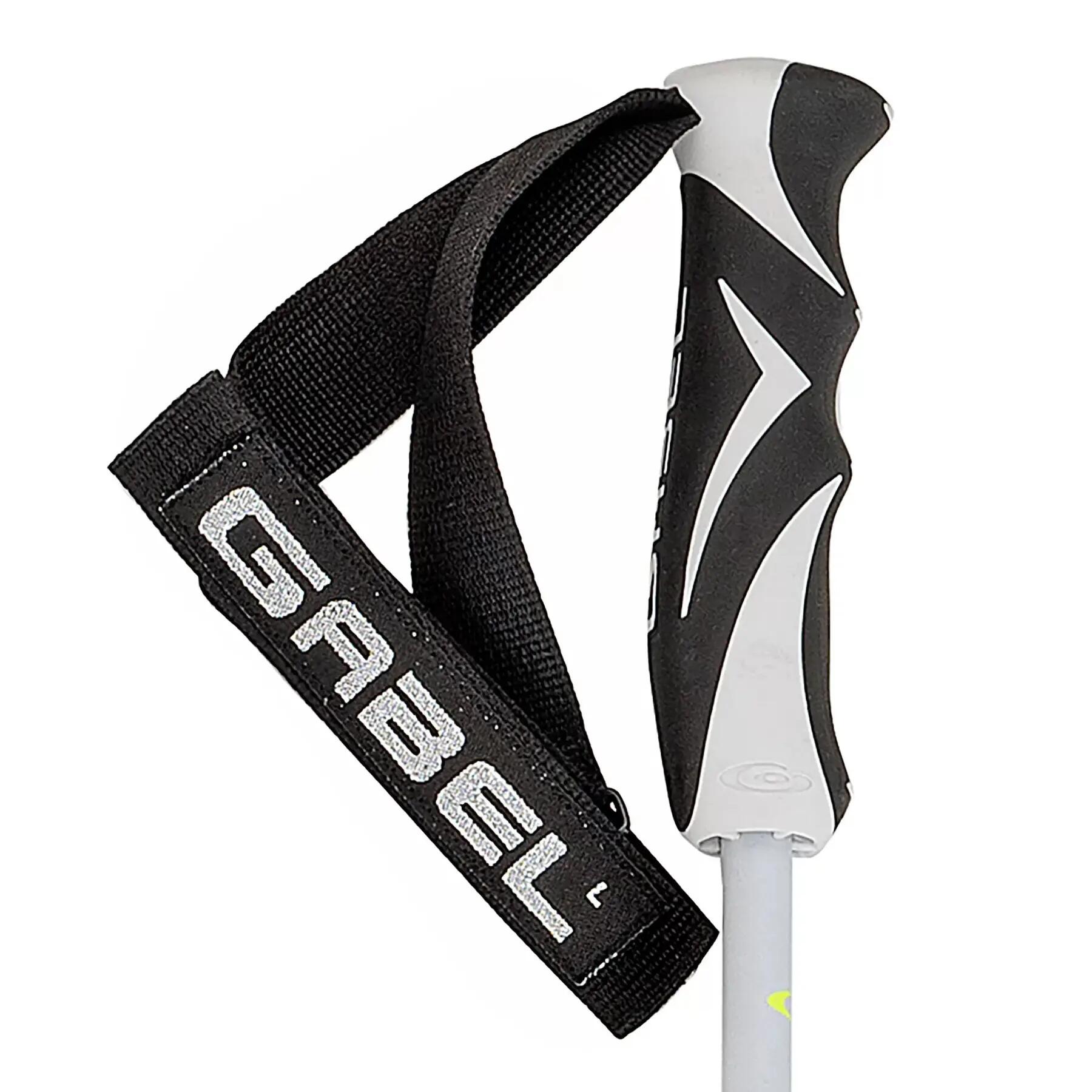 GABEL picture