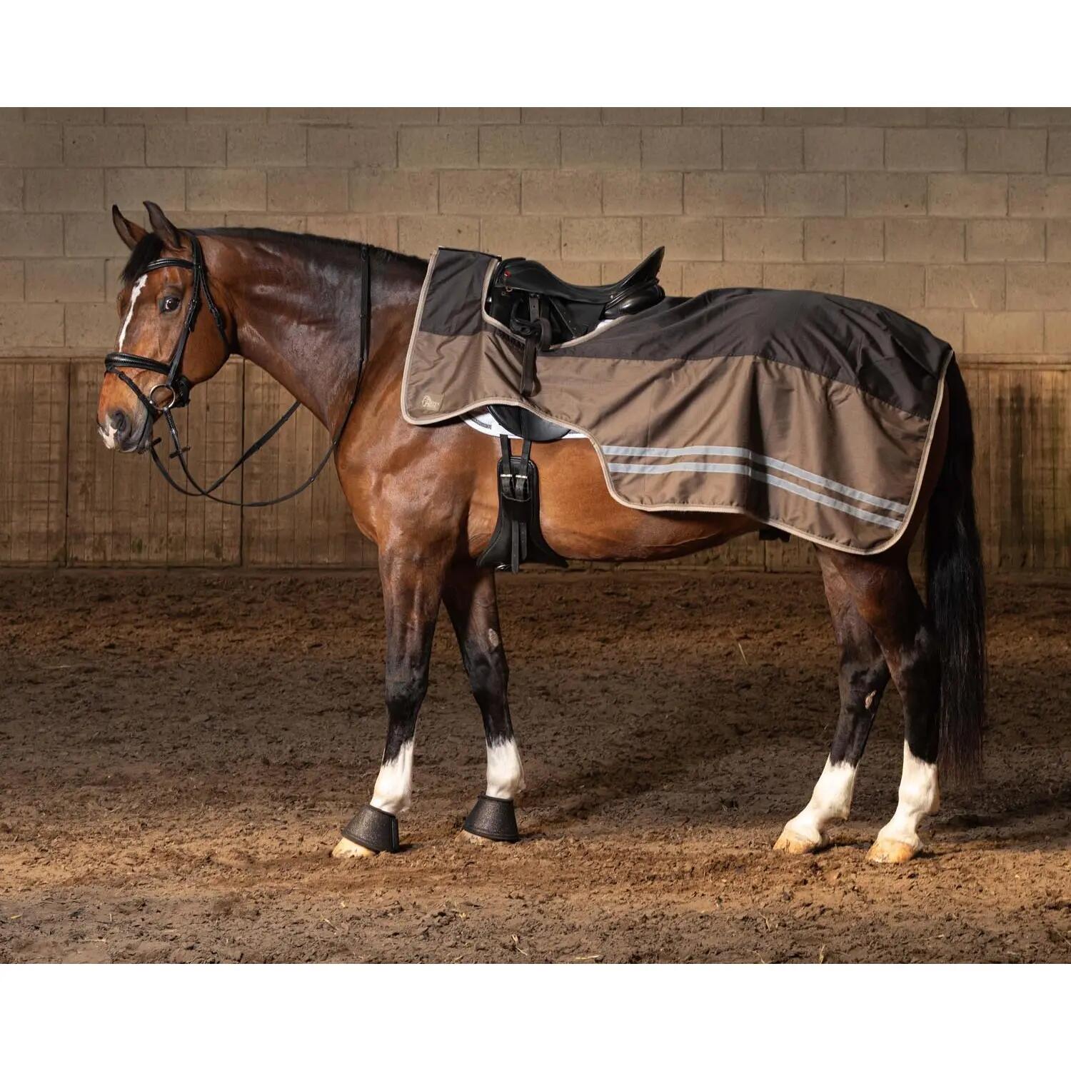 Nierendecke für Pferd Polar Harry's Horse WI24 0g 2/2