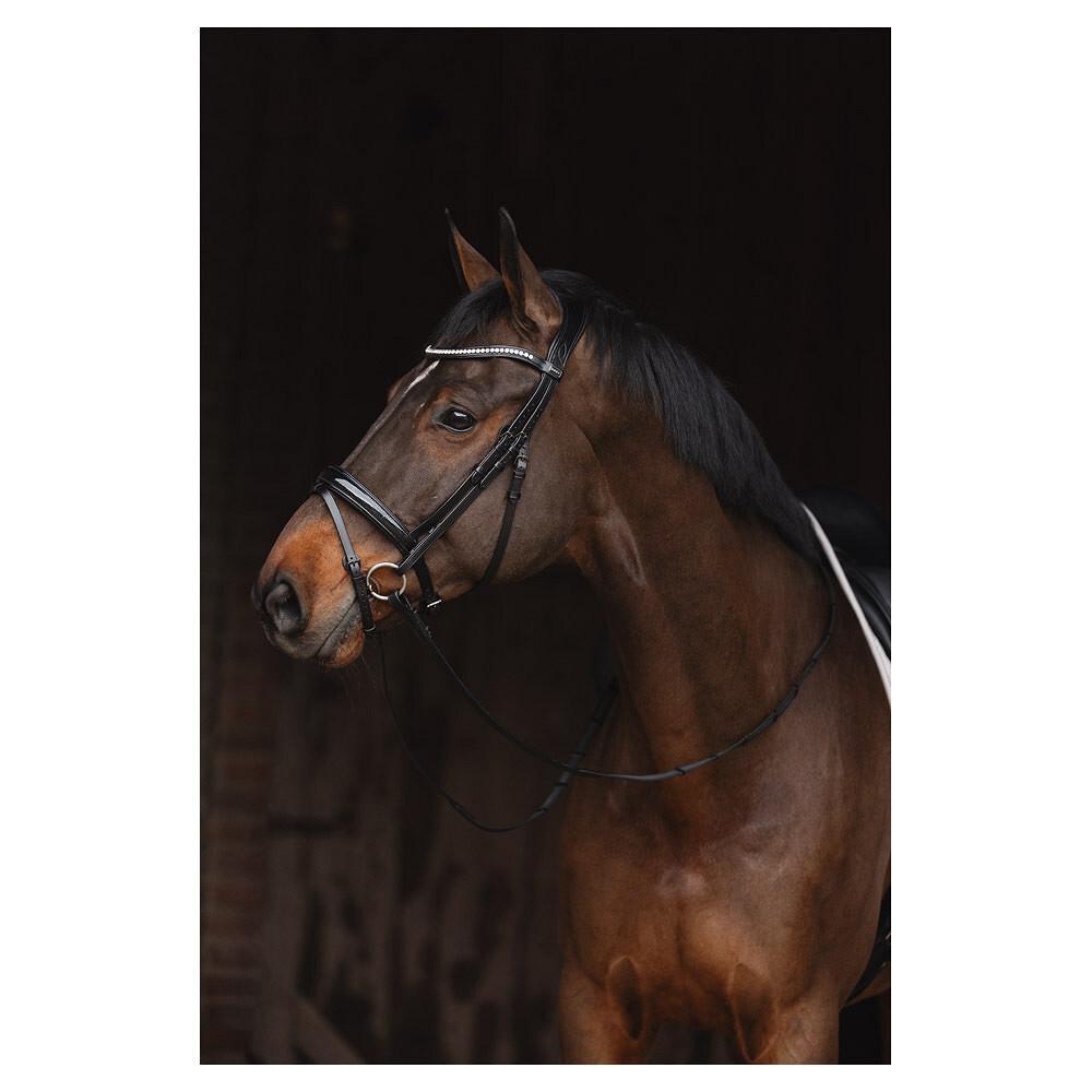 Cavallo in metallo per equitazione ANKY PatentATH24001 3/3