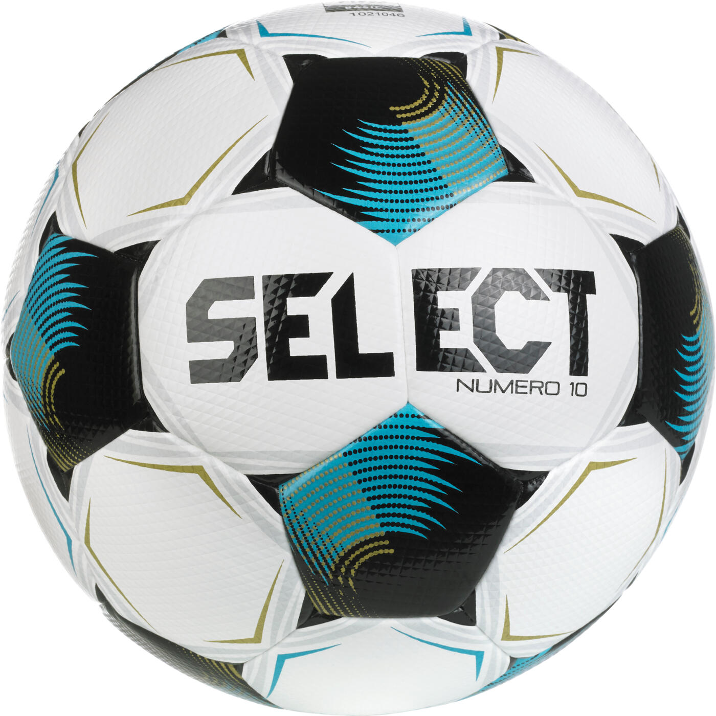 SELECT picture