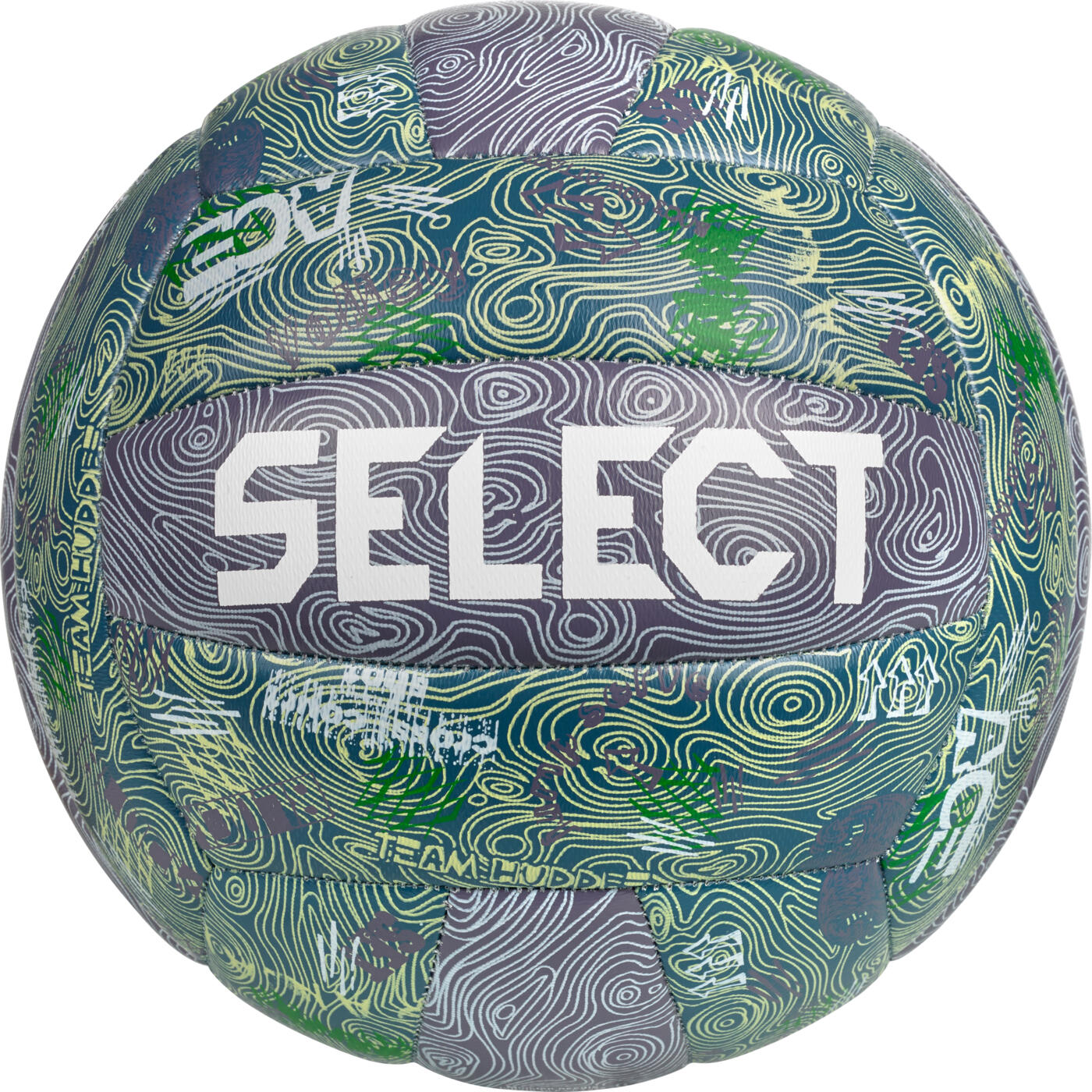 SELECT picture